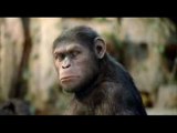 Planet der Affen 2011 Part 1 Stream Online Kostenlos