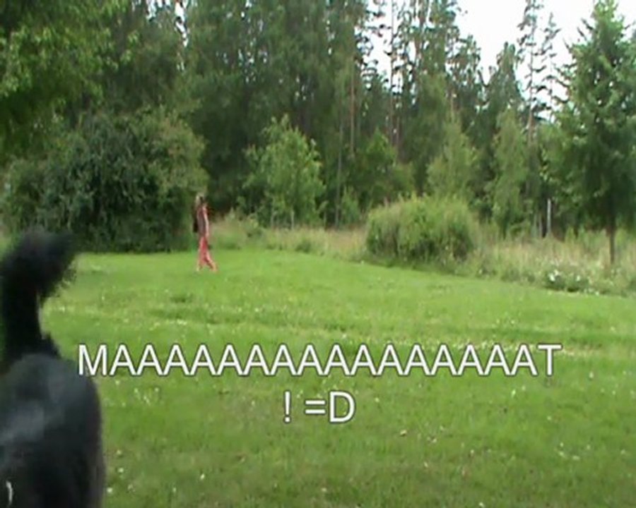 Lydnadsklass 1 med Magi