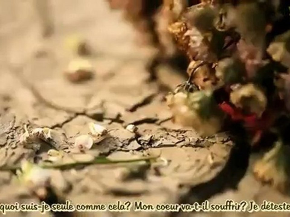 Navi - Diary (vostfr)