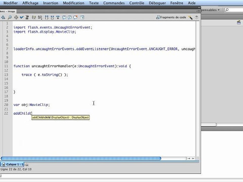 Adobe Flash Player : Gestion globale des erreurs
