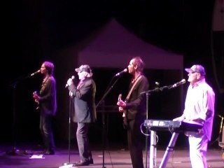 Les Beach Boys et Christopher Cross au Festival de Carcassonne 2011