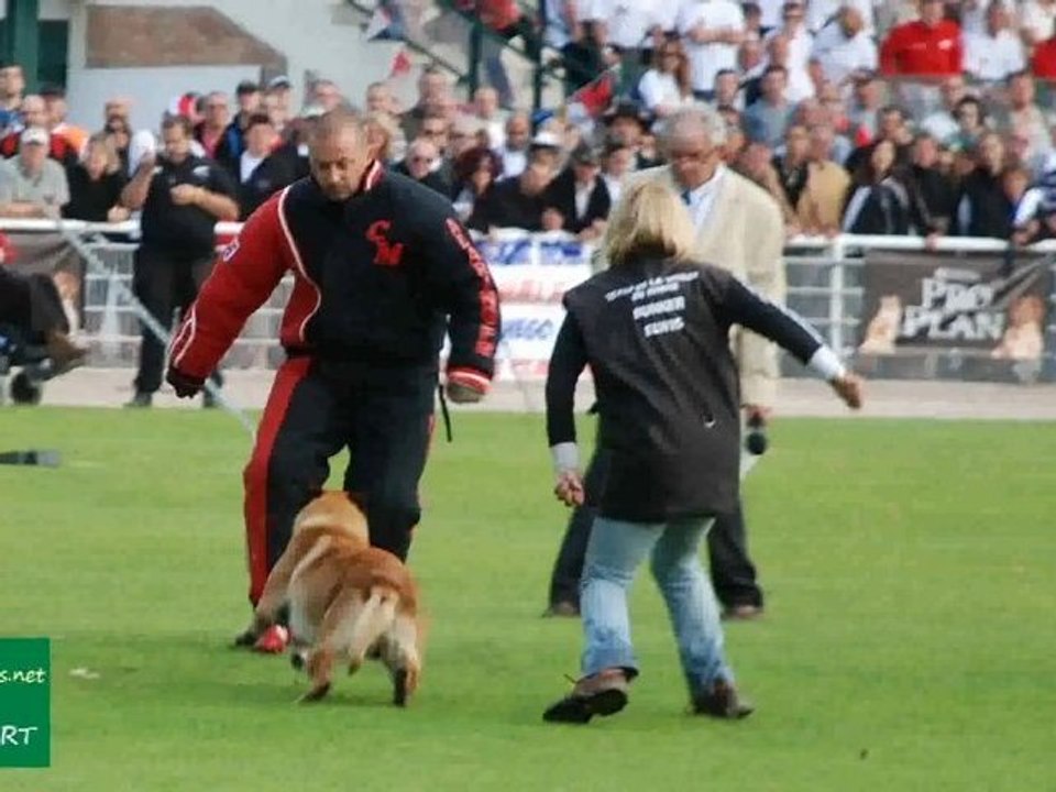 Bunker du Banc des Hermelles Finale Ring 2011 - Tavaux