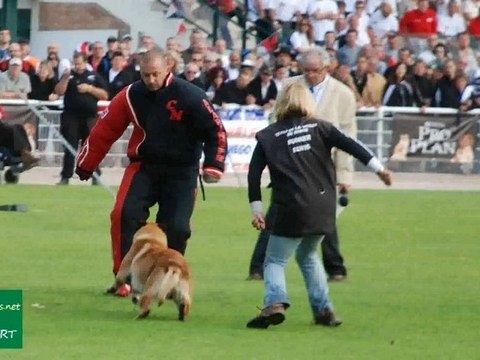 Bunker du Banc des Hermelles Finale Ring 2011 - Tavaux