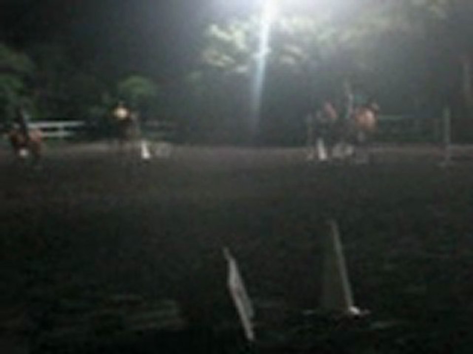 25.06.11 - puissance Solène et Minos 150