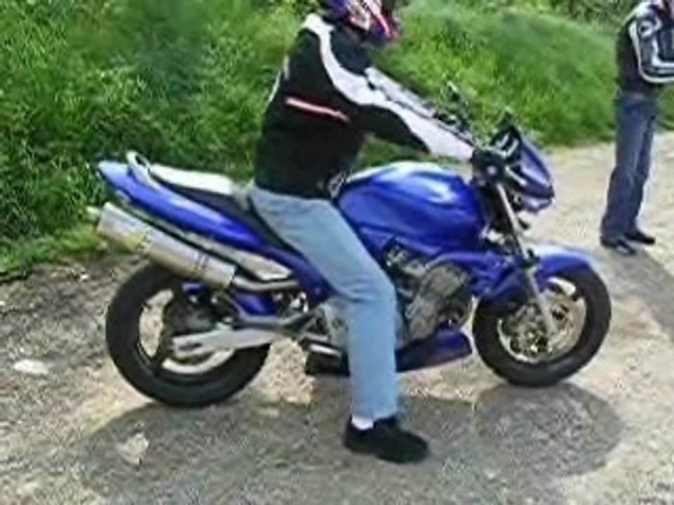 RUPTURE HORNET 03