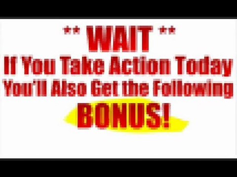 Internet Business Niche PLR WP Blog - Best Price