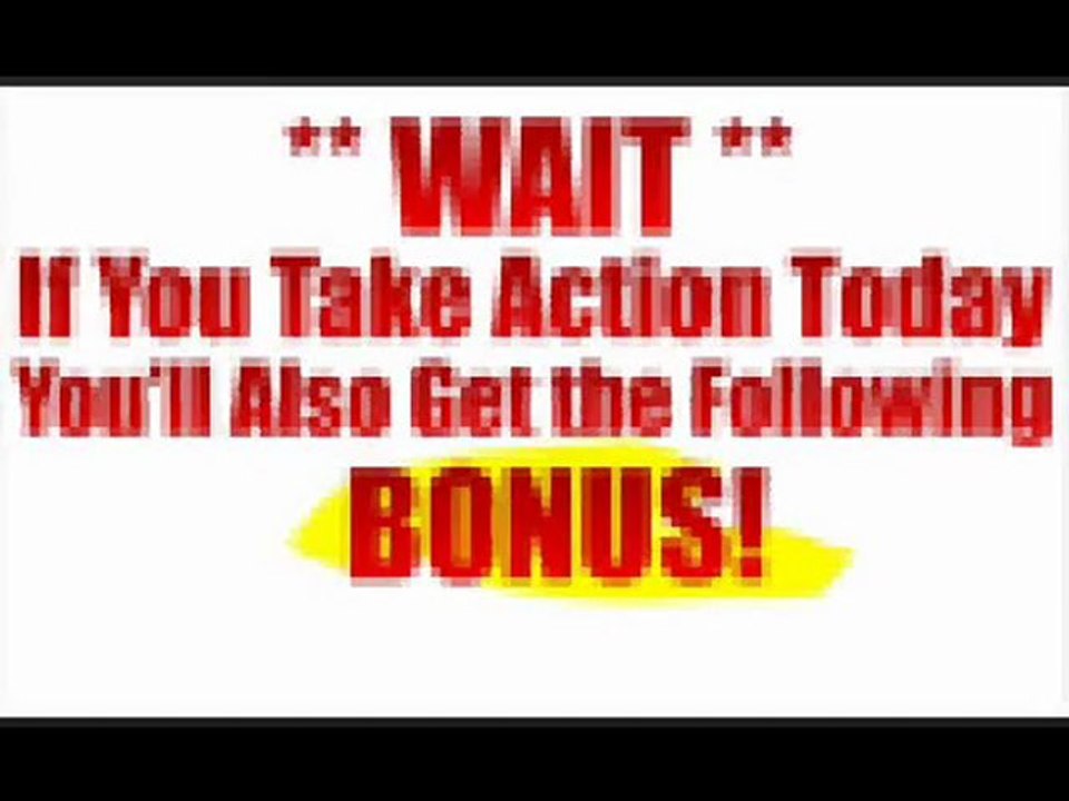 Internet Business Niche PLR WP Blog - Best Price