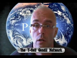 cessez tous ceci avant que cela ne dégénère