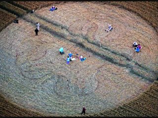 Crop circle cherhill Down, Yatesbury, Wiltshire ☼ 20 juillet 2011