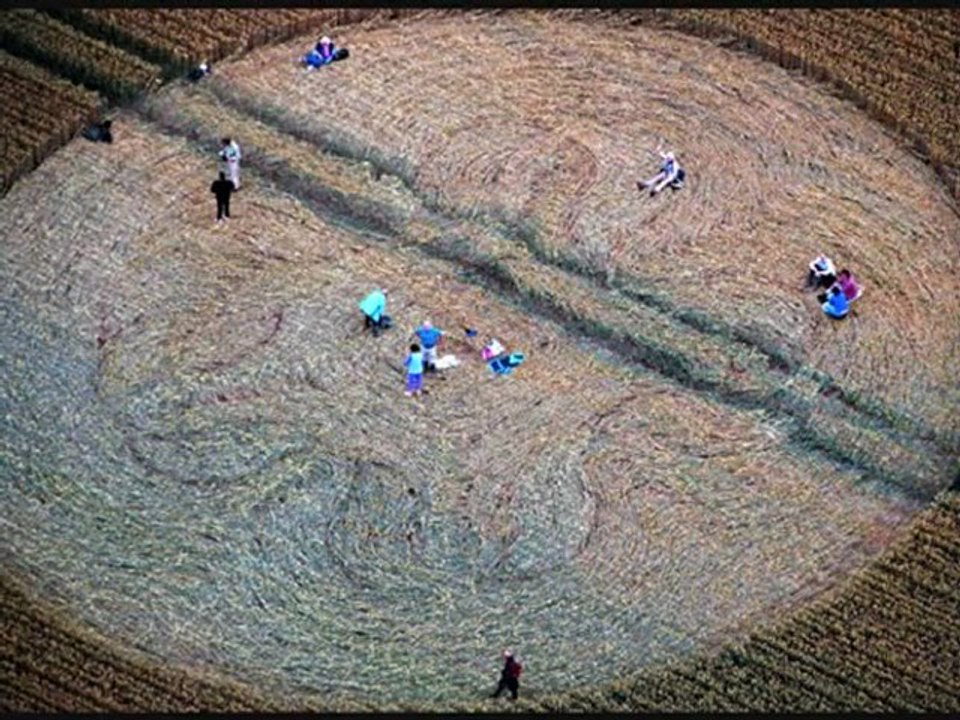 Crop circle cherhill Down, Yatesbury, Wiltshire ☼ 20 juillet 2011