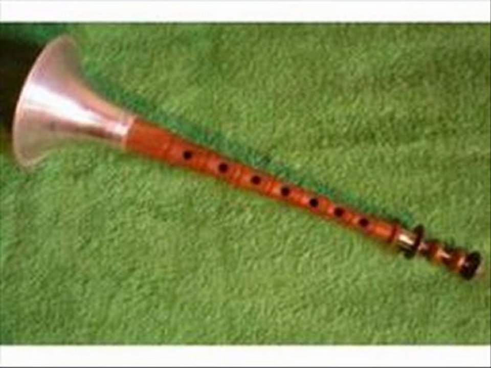 INSTRUMENTOS DE VOZ