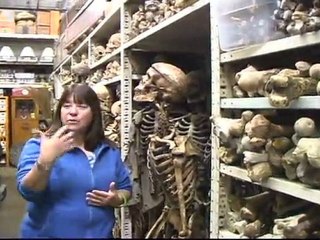 Props - Phones and Bones