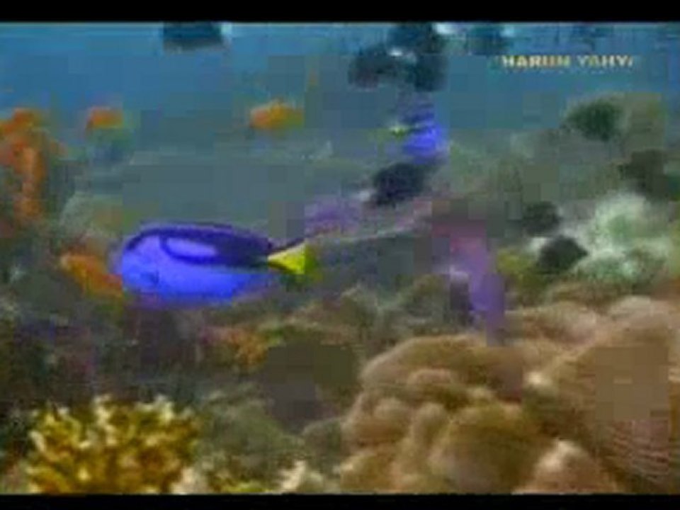 Elektrik akımlarına duyarlı köpek balıkları