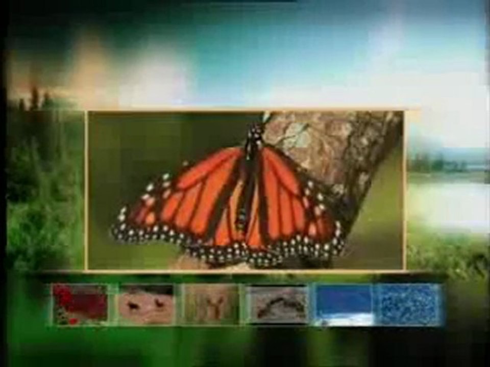 Bakterilerdeki elektrik üretim teknolojisi