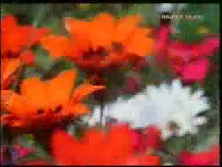 Allah'ın eşsiz yaratma sanatı