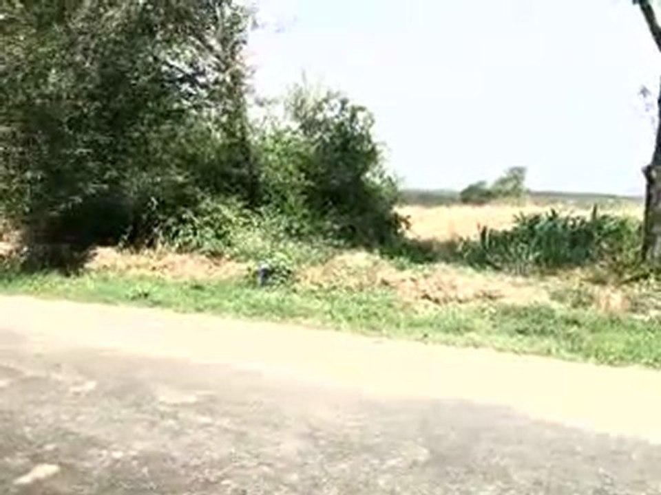 HAZER EMLAK TEL: 0546 851 6657 KANDIRA SATILIK ARAZİ