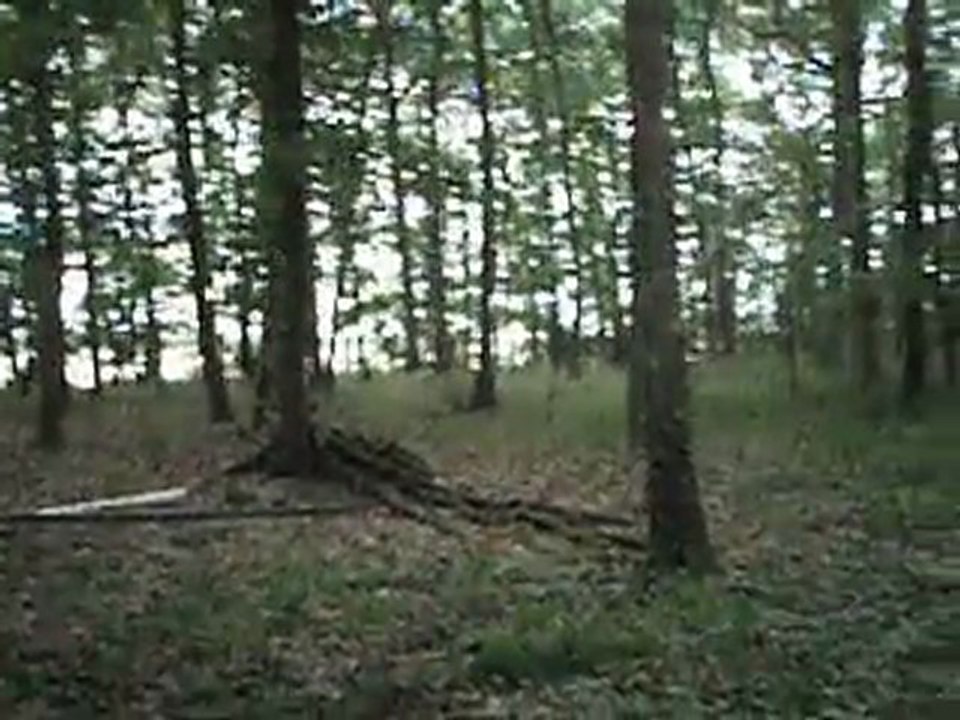 Terrain de Griselles