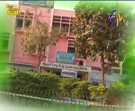 Abhiruchi - Recipes - Senaga Pappu Rice, Tomato Appalu & Ragi Sankati Menti Pulusu - 03