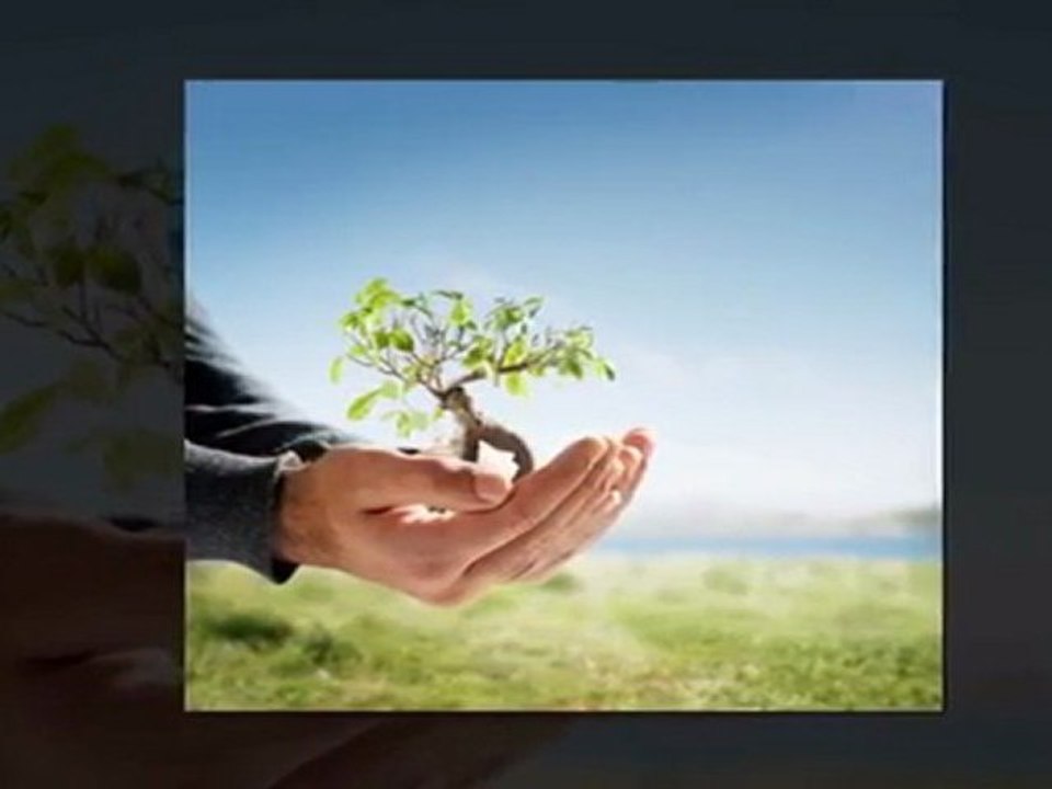 You're A Genius - NLP Coaching