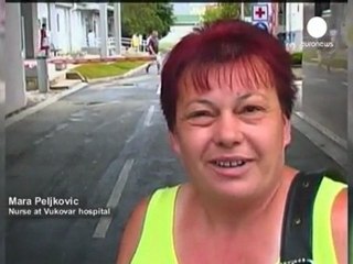 Reaction to the arrest of Goran Hadzic