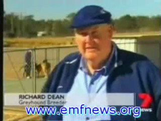 Are Electromagnetic Fields the Next Battle in the War on Pollution? Part 2