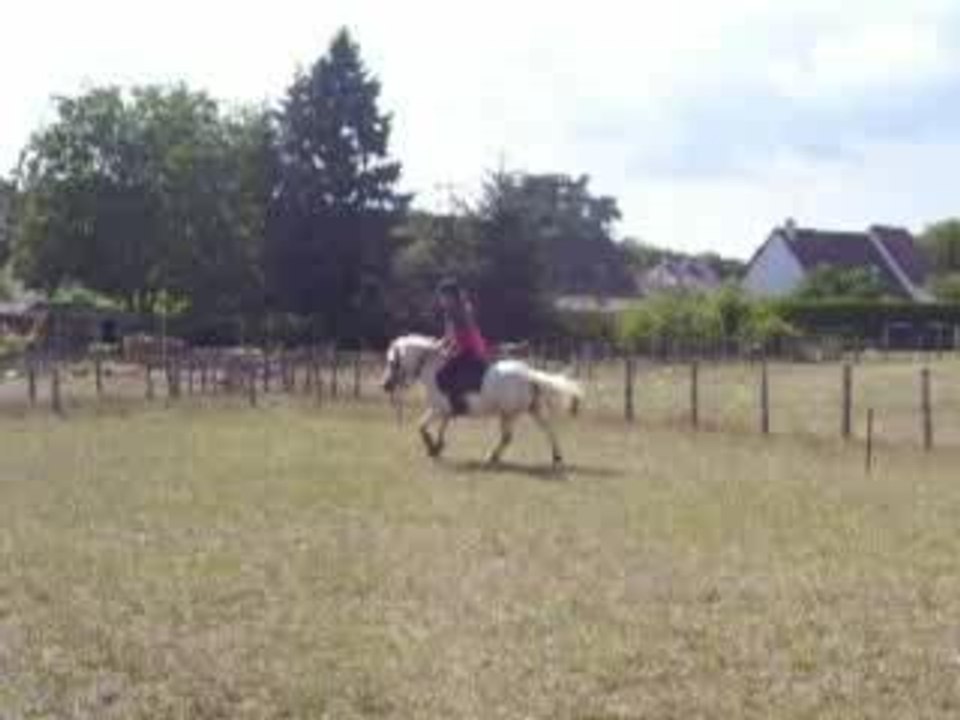 Saut