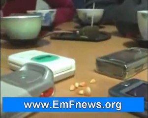 Facts & Health Risks of Cell Phone Radiation