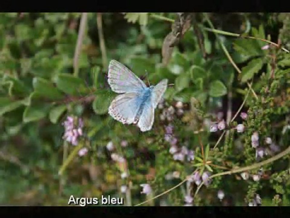 Cirque d'Estaubé