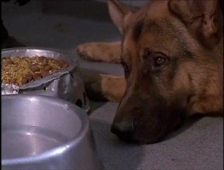 inspector.rex.s01e01.last.stop.vienna. part 1