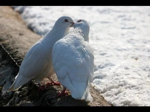 dinle tek tanem bu şarkı sana