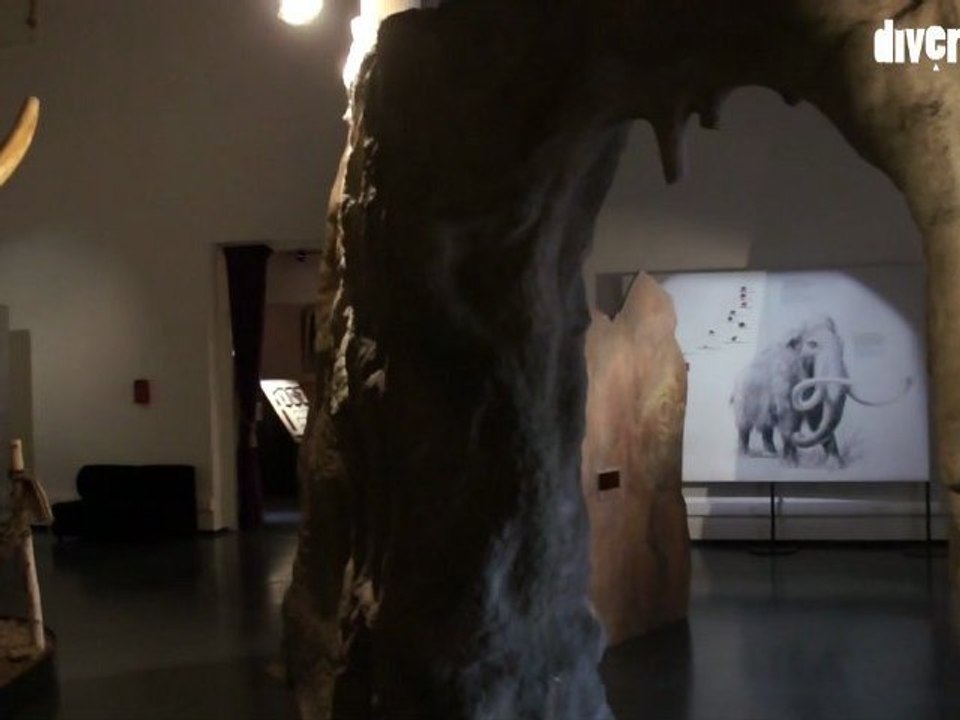 Au temps des mammouths, Pavillon des Sciences, Montbéliard