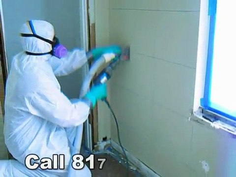 Mold Removal Fort Worth Call 817-349-7757 Now Damage ...