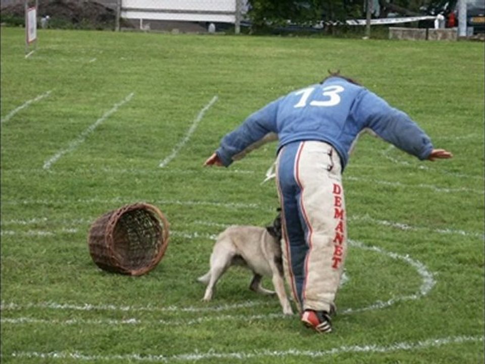 Rebel des Ducs de Justemont