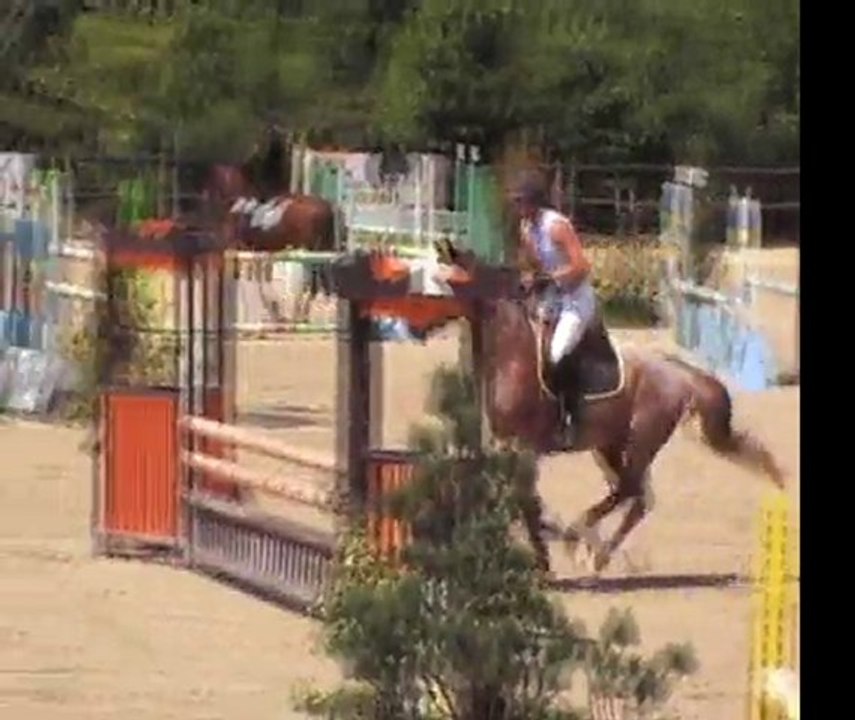 Thriller de Beausse cc Le Mans 2011