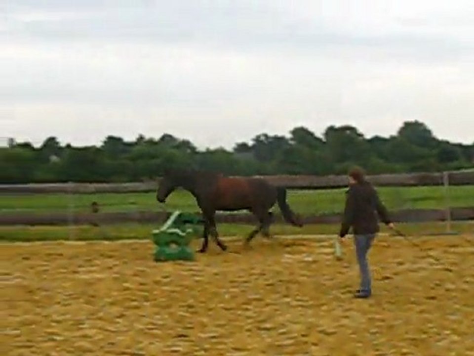 saut du trot