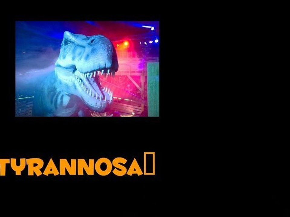 Planet-Dino : Côté ludique