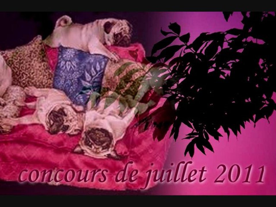 concours photo juillet 2011