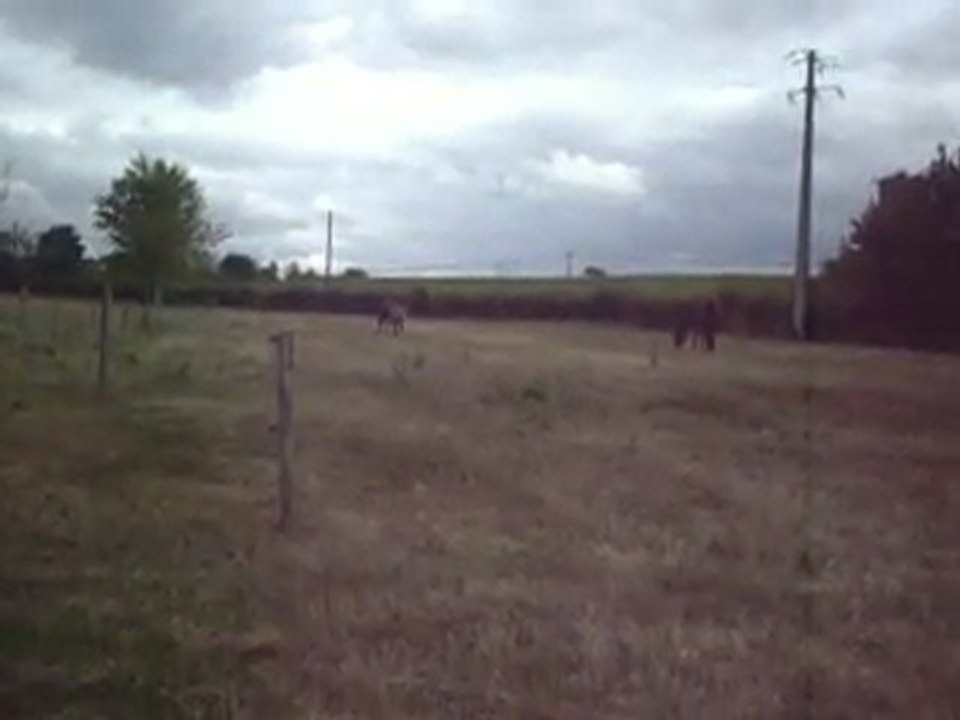 Tornado change de pré !