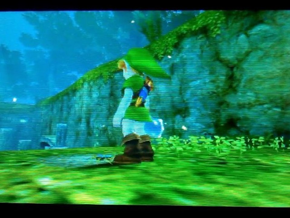 TLoZ OoT 3D MQ - 17 - Skulltulas : Hyrule (enfant)