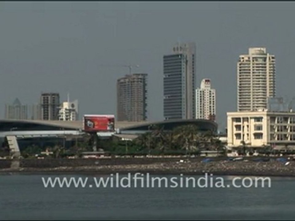 Crows swarm the Bandra Worli Sea Link bridge!