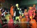 Snake Charmers Playing  Rajasthan Music