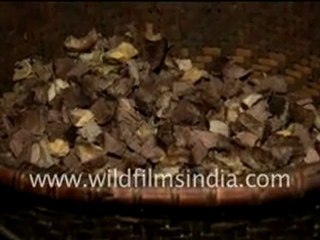 Arunachal_27-MPEG-4 800Kbps