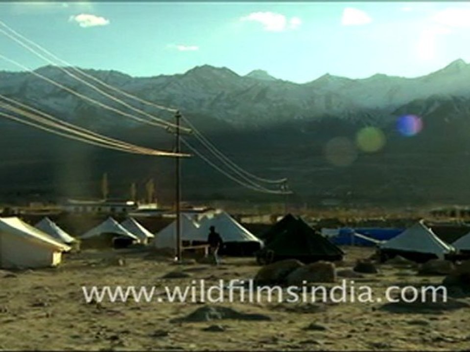 Relief Camps, Ladakh