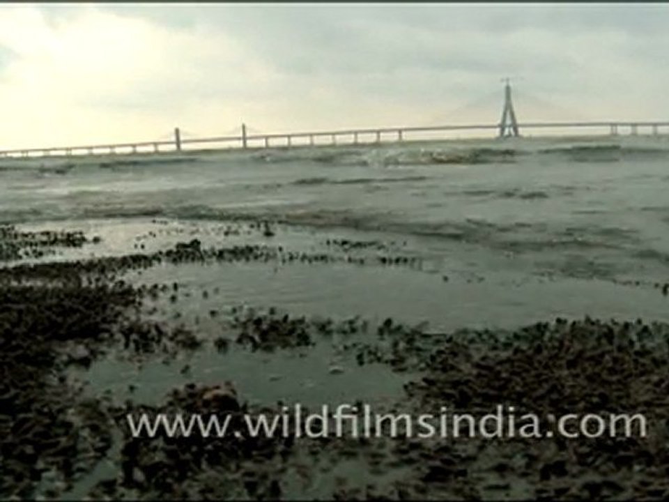 Mumbai_9