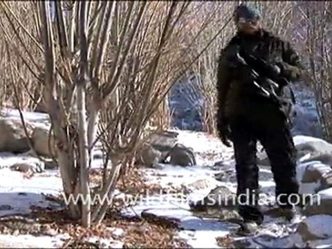 Icy Landscapes of Ladakh