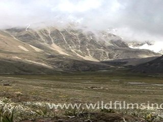 Time Lapse of Clouds, Sikkim