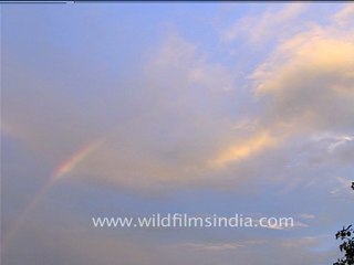 Rainbow at Wilderness Films India!