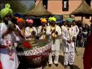 Traditional dances and music  at Suraj Kund Mela