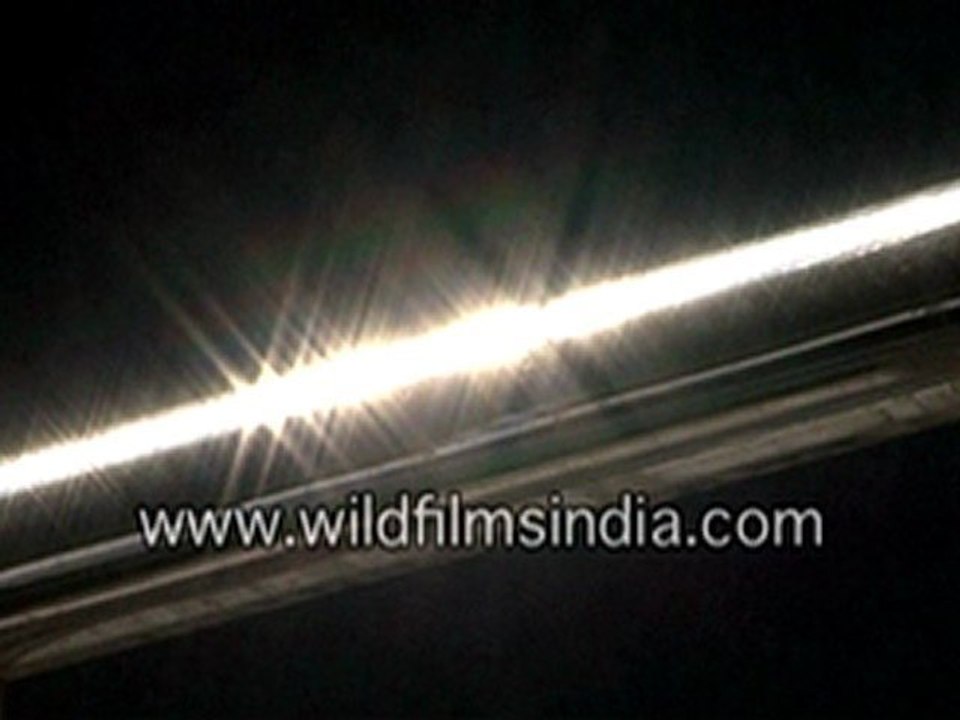 metal ref-2-MPEG-4 800Kbps