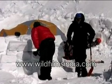 Mountaineers new home